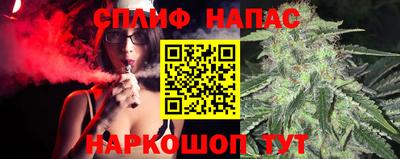 гашик Абакан