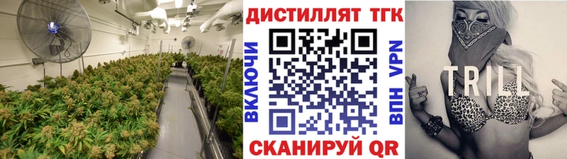 купить  сайты  Калуга  ТГК концентрат 
