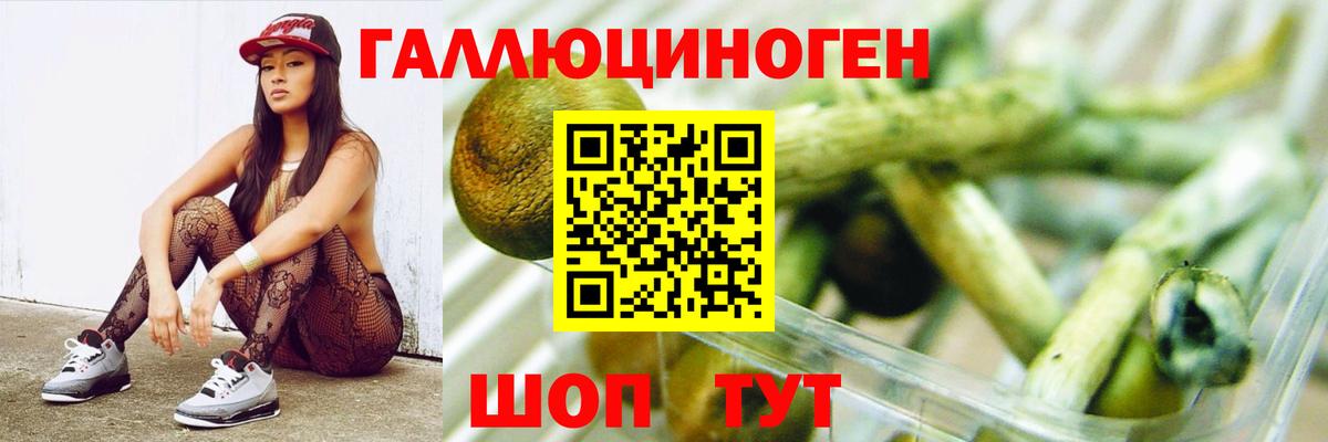 Галлюциногенные грибы Magic Shrooms  Галлюциногенные грибы Magic Shrooms  продажа наркотиков  Калуга 